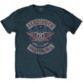 Aerosmith Boston Pride Blue