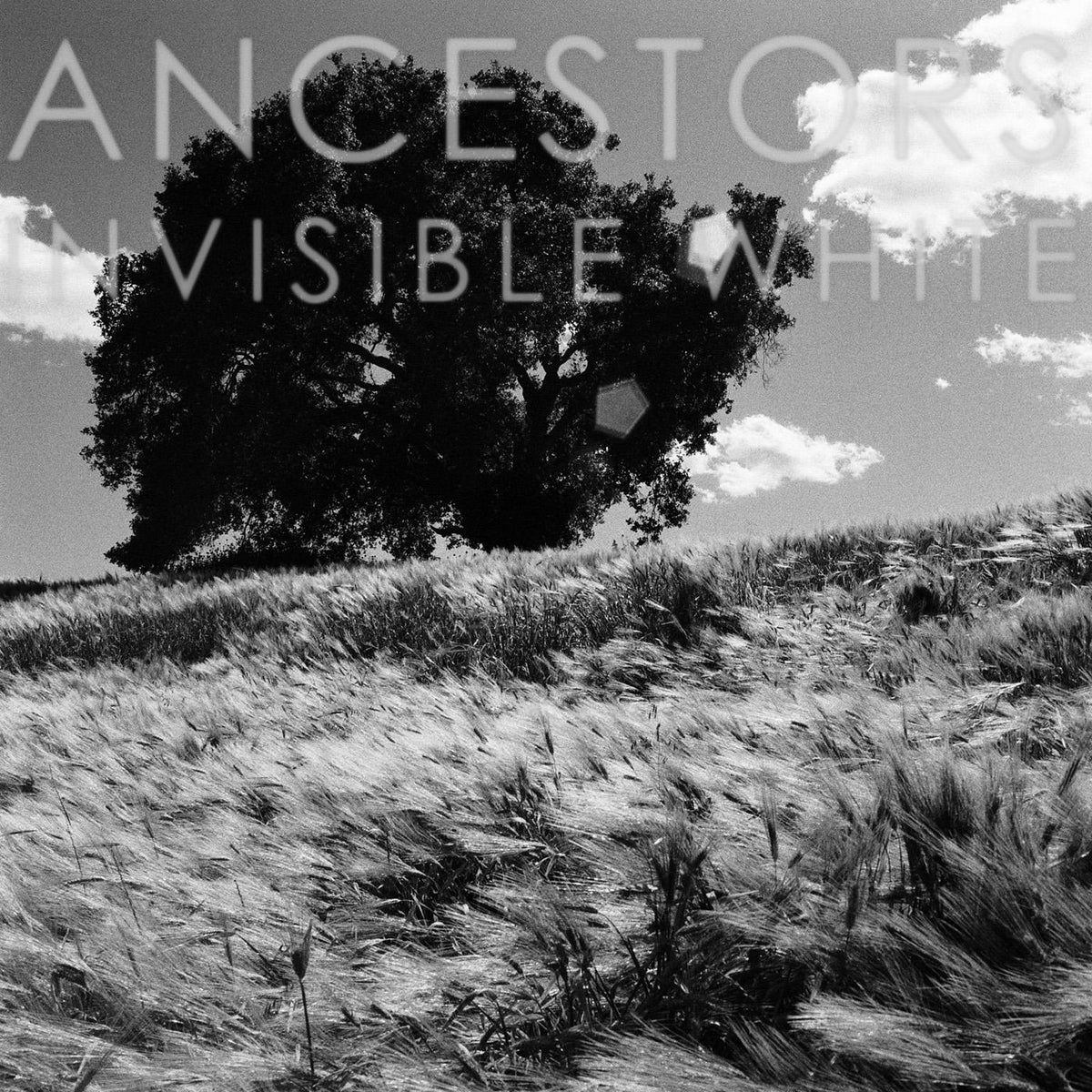 Ancestors Invisible White