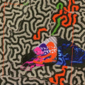 Animal Collective Tangerine Reef