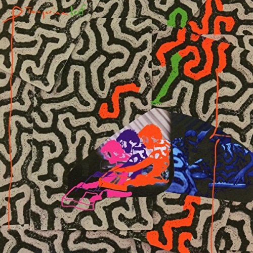 Animal Collective Tangerine Reef