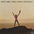 Bayeté Umbra Zindiko Seeking Other Beauty (All-Analog) (Plasma Vinyl)