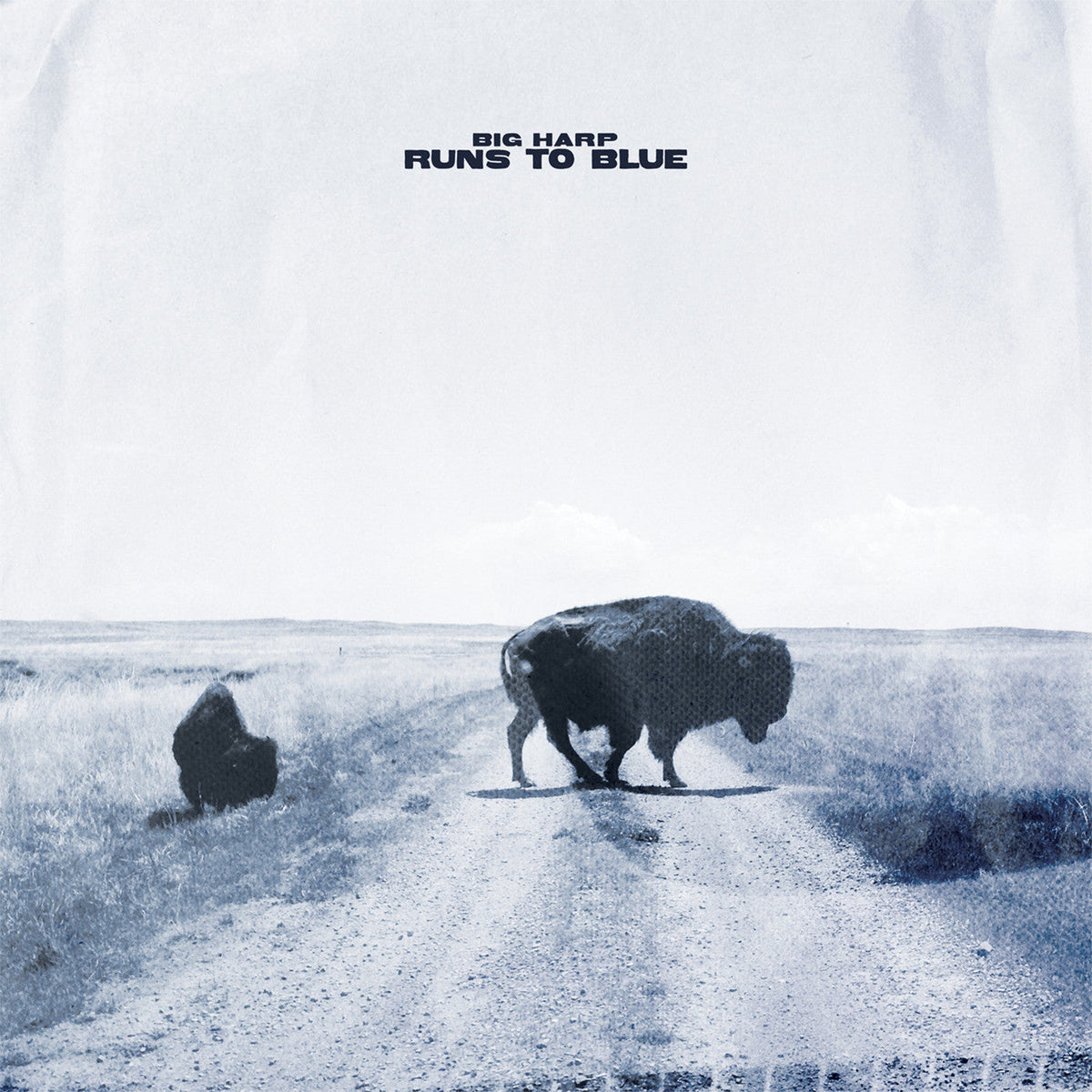 Big Harp Runs To Blue