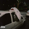Blood Orange Negro Swan
