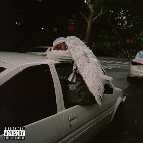 Blood Orange Negro Swan