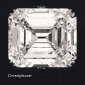 CROWDPLEASER Crowdpleaser