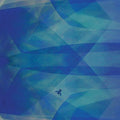 Cyro Baptista Bluefly