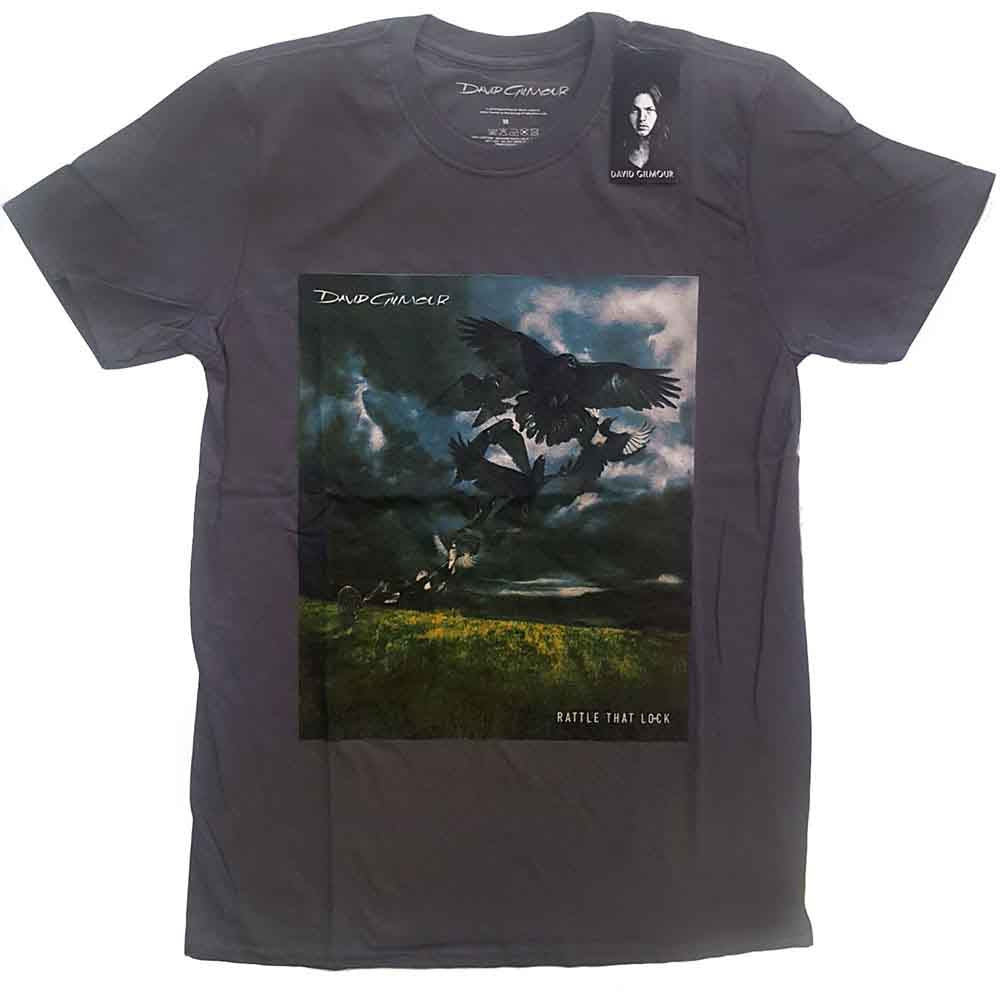 David Gilmour Rattle That Lock Grey