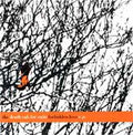 Death Cab For Cutie The Death Cab for Cutie Forbidden Love EP