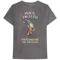 Disenchantment Hola I'm Elfo Grey
