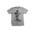 Disney Mickey Mouse Sketch Grey