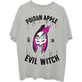Disney Snow White Evil Witch Poison Apple Grey