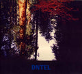 DNTEL Aimlessness