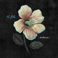 El Buho Balance (Cd Reissue)