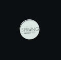 Ellen Allien Sprung/Its
