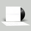 Foo Fighters But Here We Are (Black Vinyl)