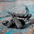 Forest Swords COMPASSION