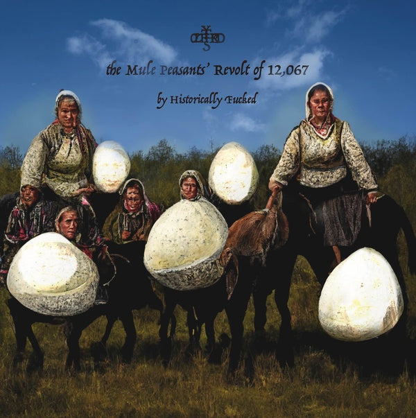 HISTORICALLY FUCKED The Mule Peasants' Revolt of 12,067