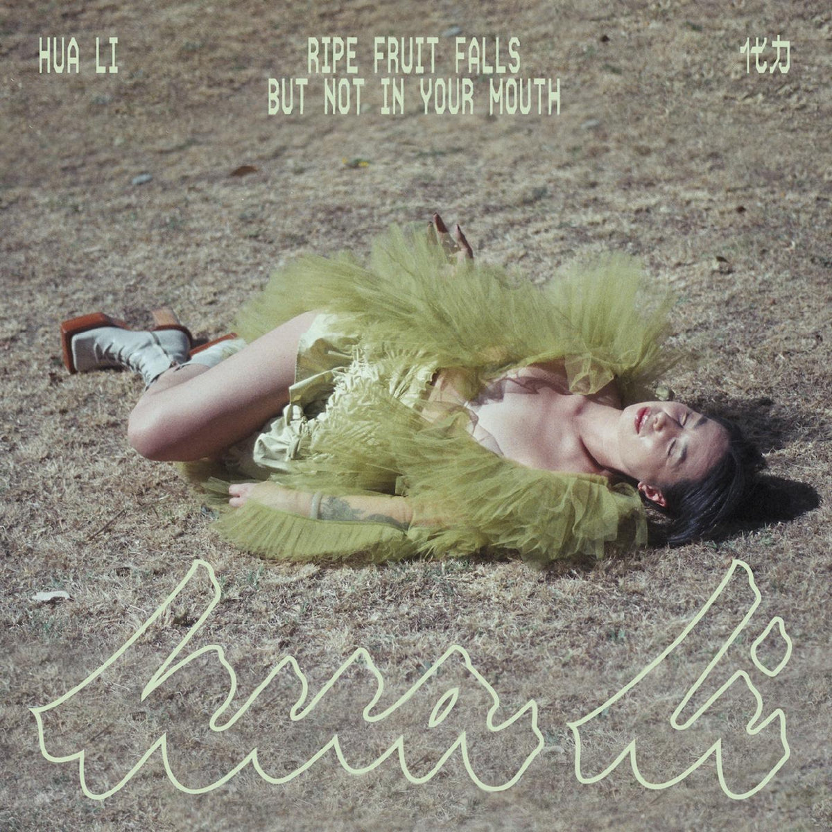 Hua Li õ ripe fruit falls but not in your mouth