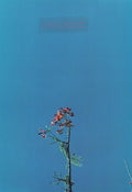 Joanna Newsom & THE YS STREET BAND EP