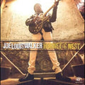 Joe Louis Walker Hornet's Nest