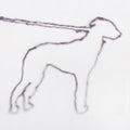 Jonah Yano portrait of a dog