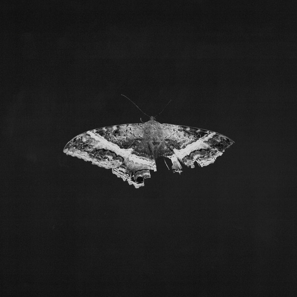 Kendrick Lamar To Pimp A Butterfly (10 Year Anniversary Edition) - Alternate Artwork [180G 2 Lp]