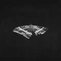 Kendrick Lamar To Pimp A Butterfly (10 Year Anniversary Edition) - Alternate Artwork [180G 2 Lp]