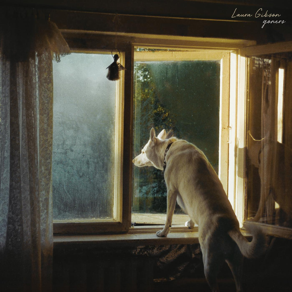 Laura Gibson Goners