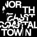 LIFE North East Coastal Town
