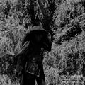 Moor Mother Analog Fluids of Sonic Black Holes