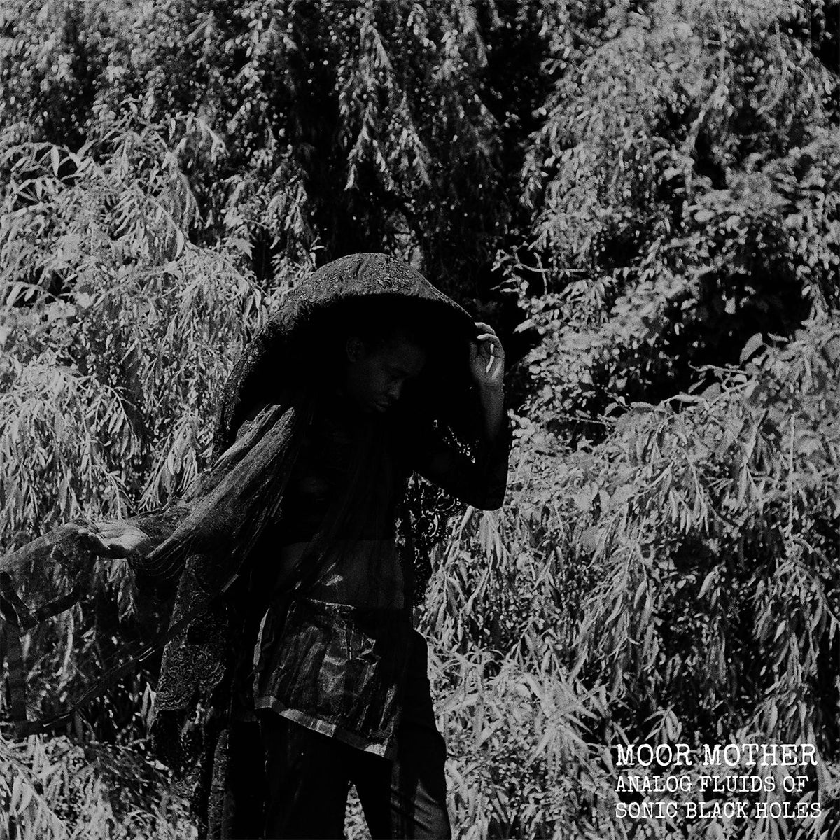 Moor Mother Analog Fluids of Sonic Black Holes