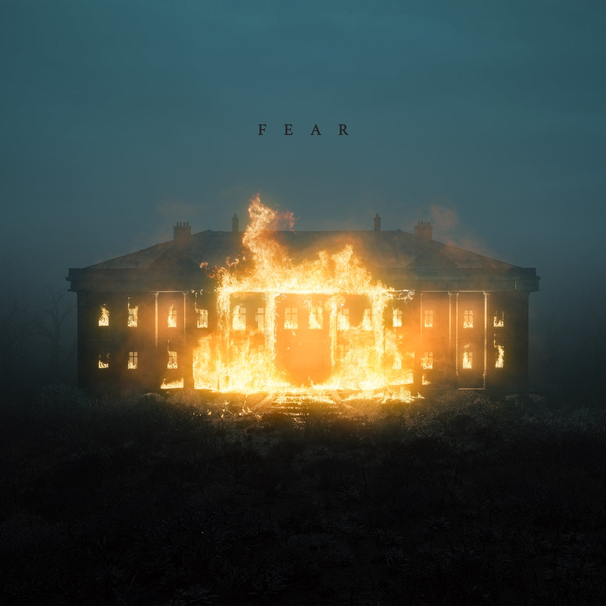 Nf Fear [CD]