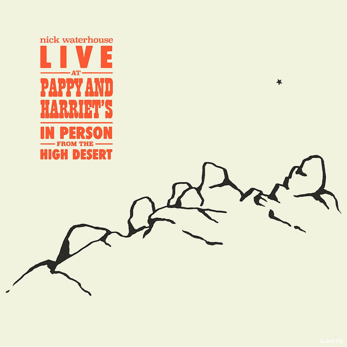 Nick Waterhouse Live At Pappy & Harriet's: In Person From The High Desert