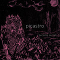 Picastro Become Secret