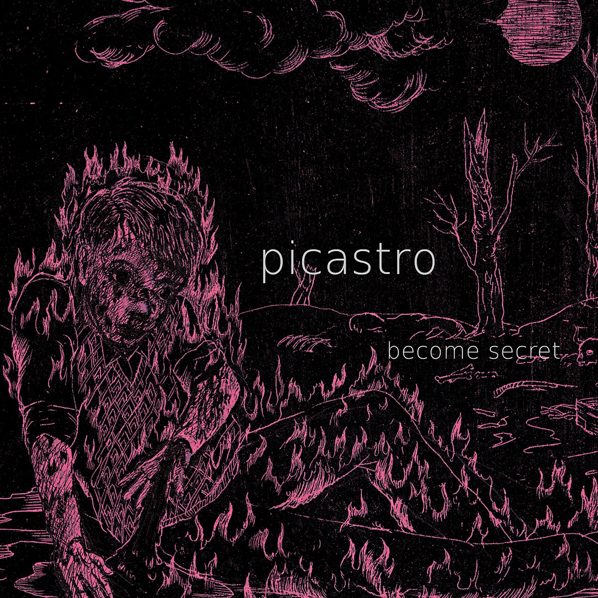 Picastro Become Secret