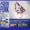 PIGEON FUNK The Largest Bird In The History Of The Planet... Ever!