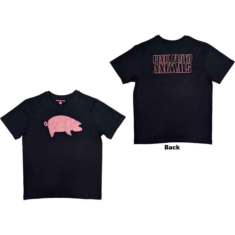 Pink Floyd AWBDG Blue
