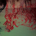 REMOTE VIEWING Blood Loss