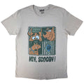 Scooby Doo Hey Scooby! Grey