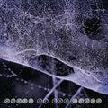 Speed Of The Stars (Steve Kilbey & Frank Kearns) Speed Of The Stars (Purple Vinyl)