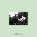 STEVE HIETT Girls In The Grass
