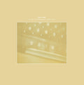STEVE RODEN The Radio/Airria (Hanging Garden)/Vein Stem Is Calm