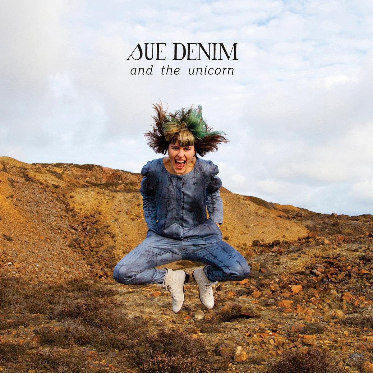 Sue Denim And The Unicorn