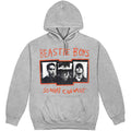 The Beastie Boys So What Cha Want Grey