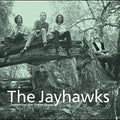 The Jayhawks Tomorrow the Green Grass