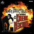 The Kneejerk Reactions The Indestructible Sounds of