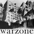The Missing Brazilians Warzone (CLEAR VINYL)