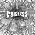 The Paisleys Cosmic Mind At Play