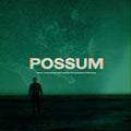 The Radiophonic Workshop Possum