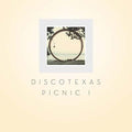 Va Discotexas Picnic I